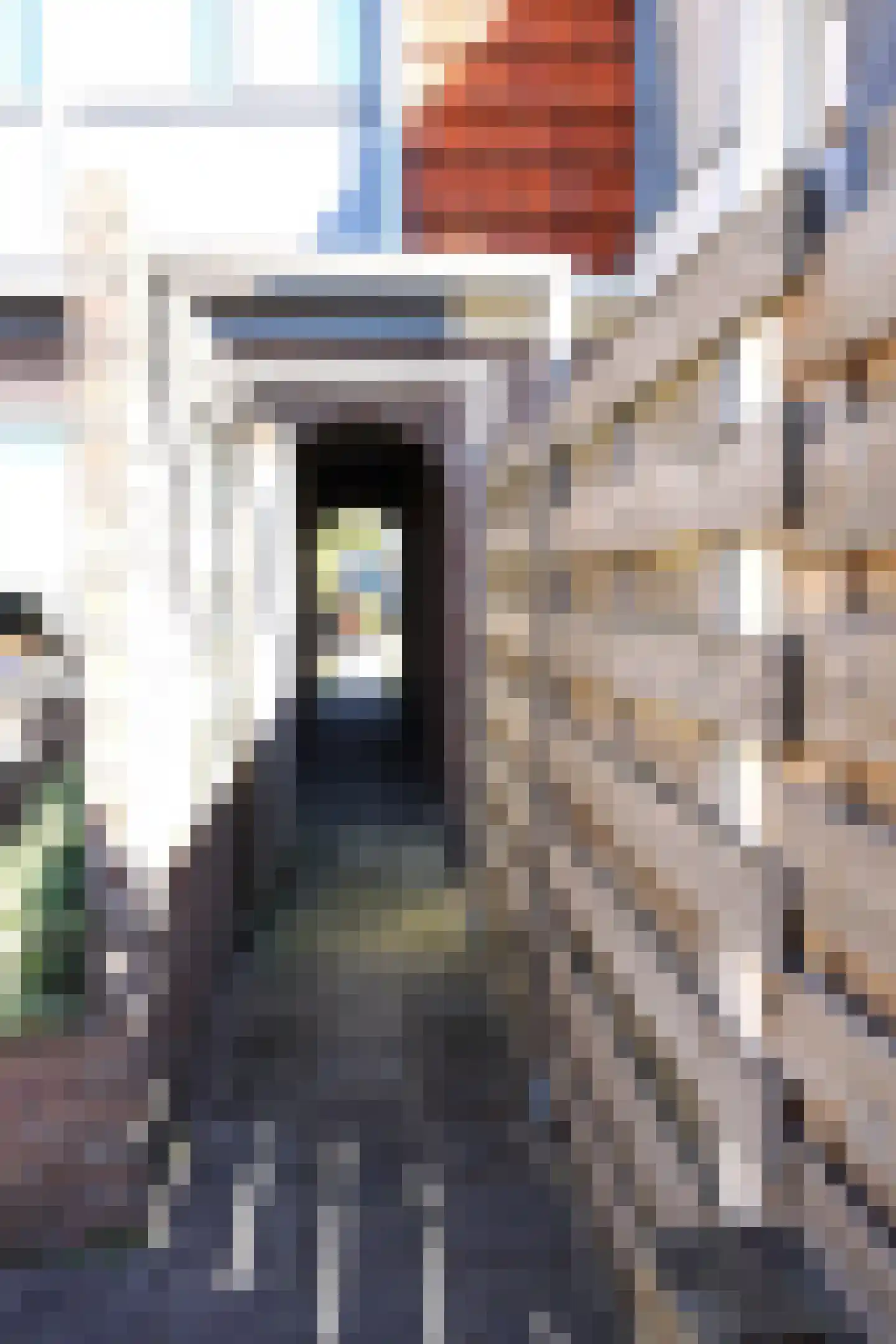 J. van der Veerstraat 12 Julianadorp thumbnail 30
