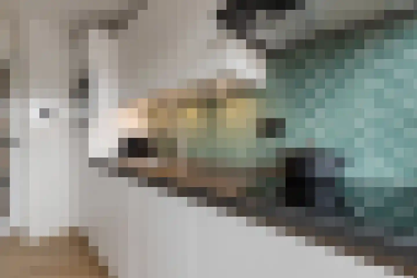 J. van Galenstraat 12 A Hilversum thumbnail 9