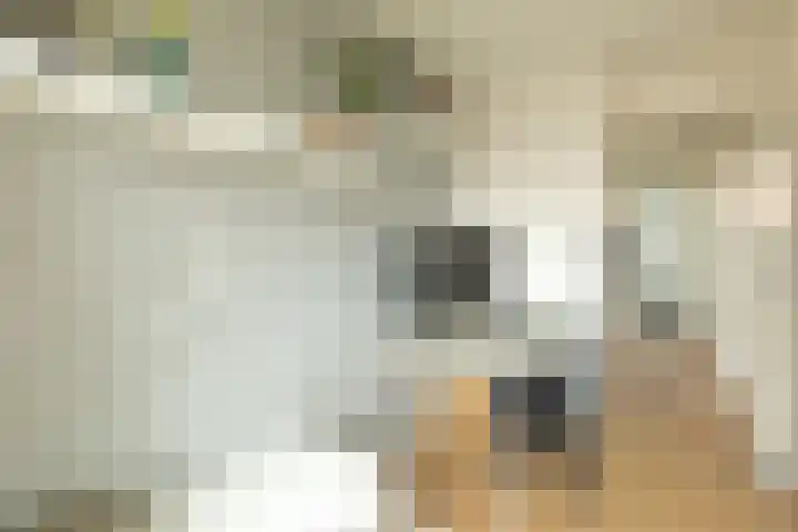 J. van Galenstraat 13 Hilversum thumbnail 21