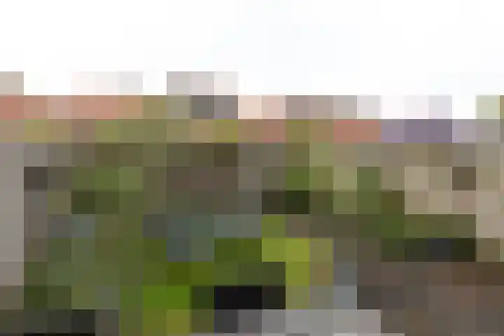 J. van Galenstraat 13 Hilversum thumbnail 27
