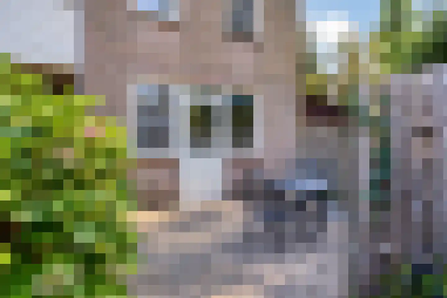 J. van Oldenbarneveldtstraat 20 Geldermalsen thumbnail 21