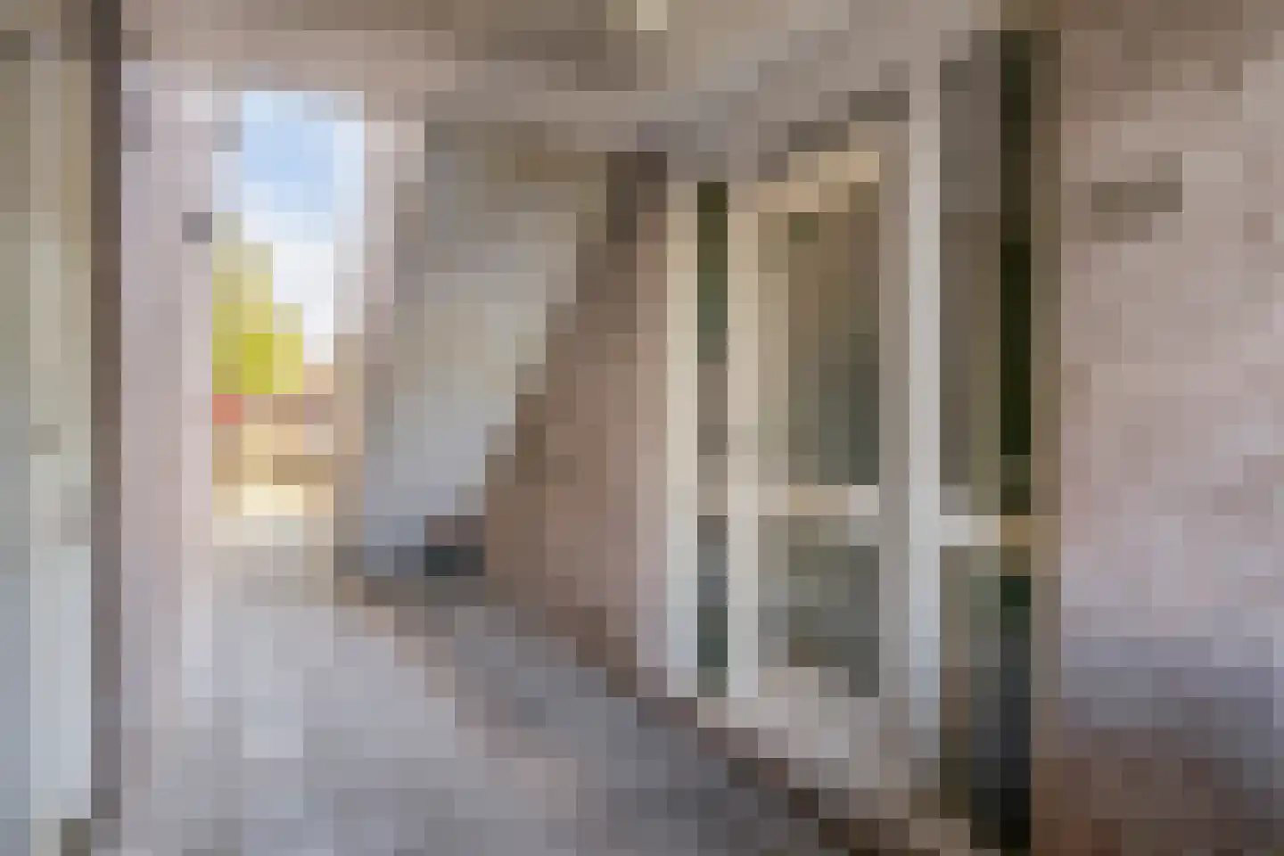 J. van Oldenbarneveldtstraat 20 Geldermalsen thumbnail 7