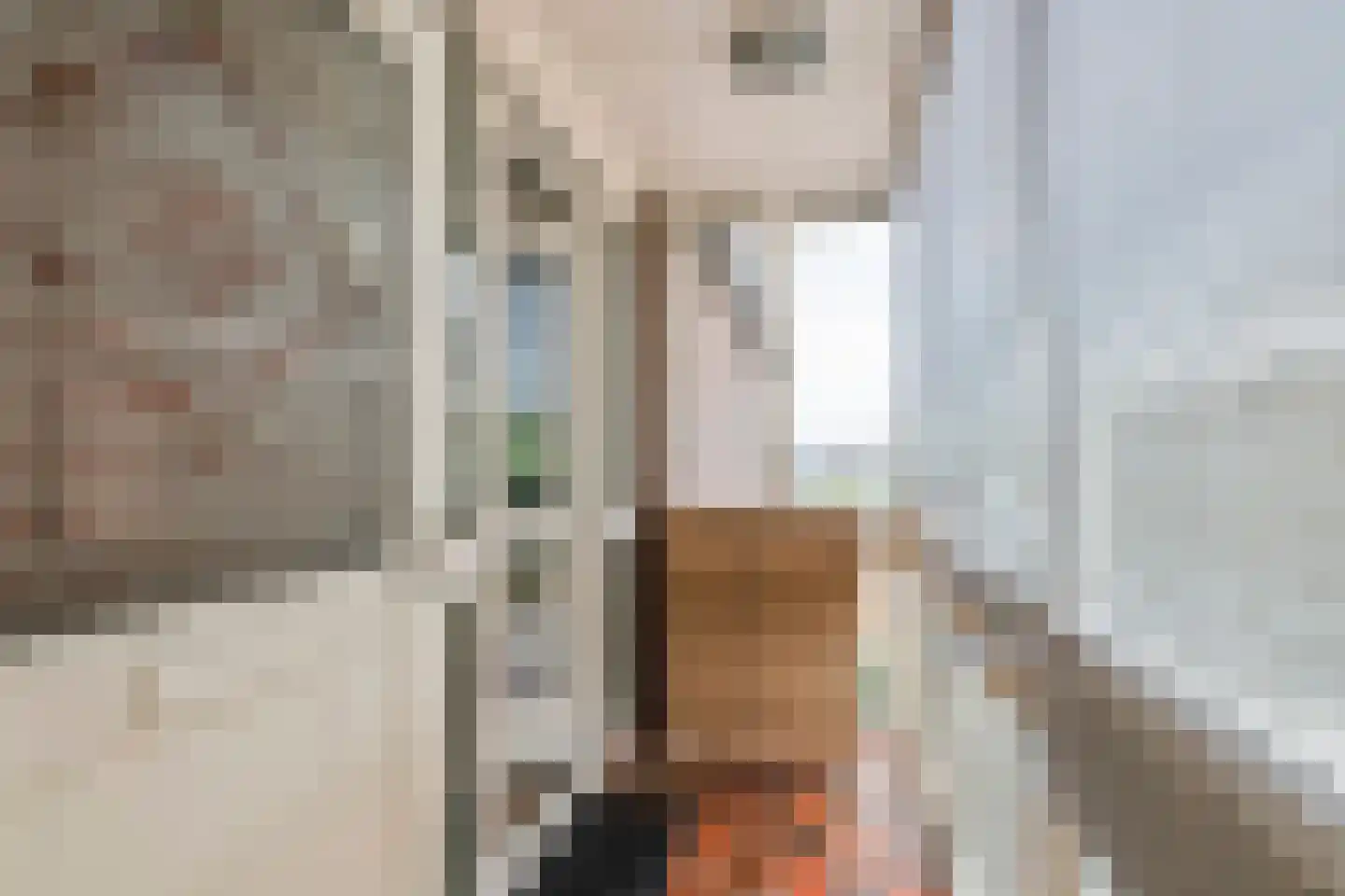 J. van Oldenbarneveldtstraat 30 Geldermalsen thumbnail 7