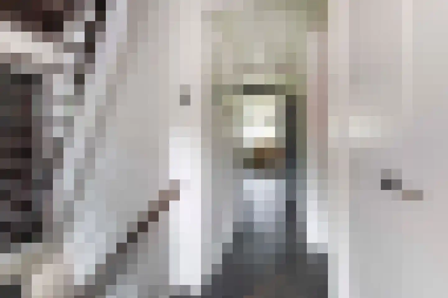J. van Woensel Kooijlaan 35 Huizen thumbnail 11