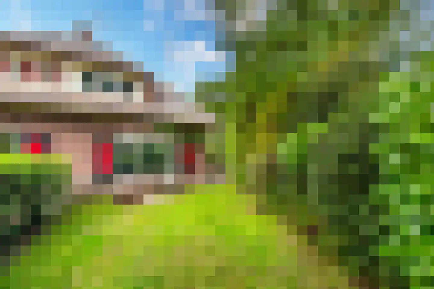 J. van Woensel Kooijlaan 35 Huizen thumbnail 23