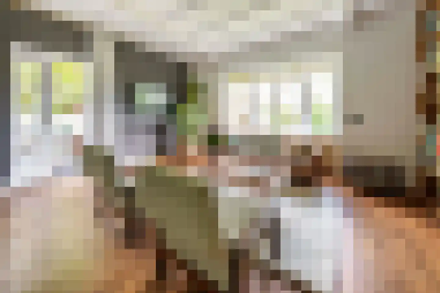 J. van Woensel Kooijlaan 35 Huizen thumbnail 6