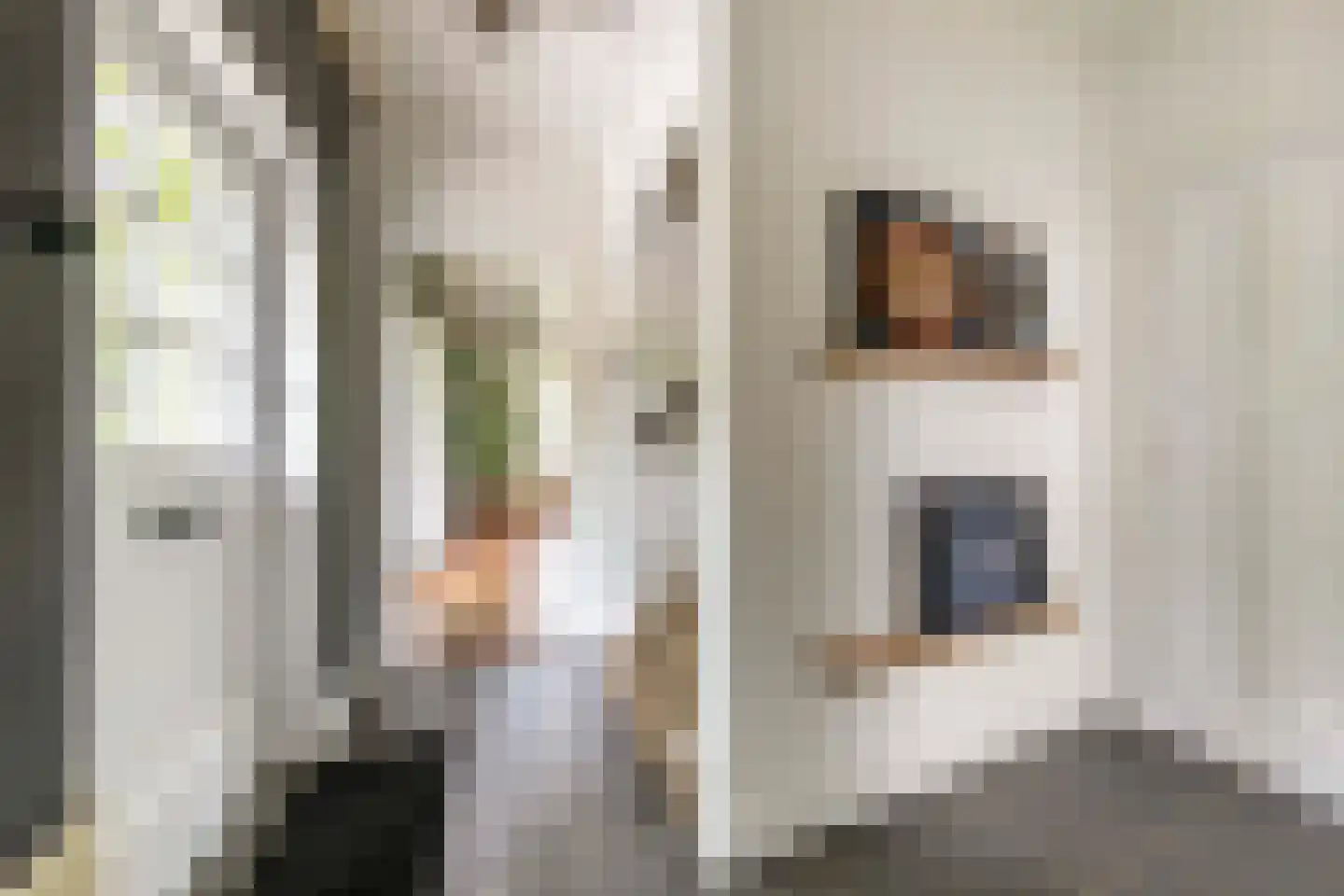J. van Woensel Kooijlaan 35 Huizen thumbnail 9
