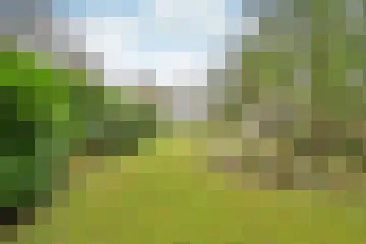 J. van Woensel Kooylaan 10 Naarden thumbnail 17