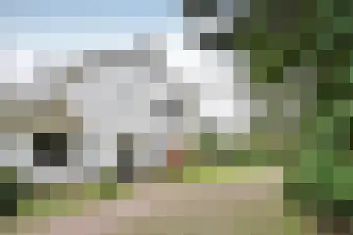 J. van Woensel Kooylaan 10 Naarden thumbnail 19