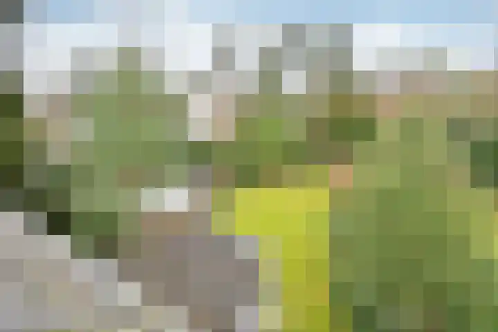 J. van Woensel Kooylaan 10 Naarden thumbnail 20