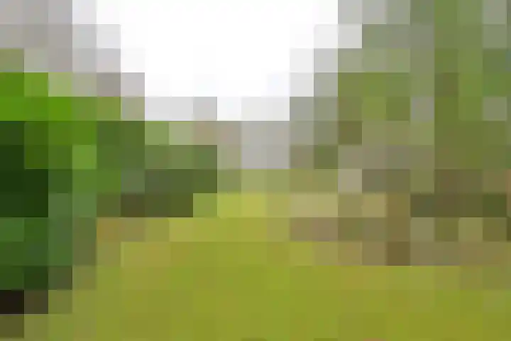 J. van Woensel Kooylaan 10 Naarden thumbnail 21