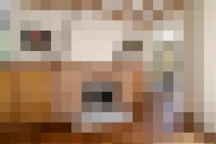 J. van Woensel Kooylaan 9 Naarden thumbnail 13