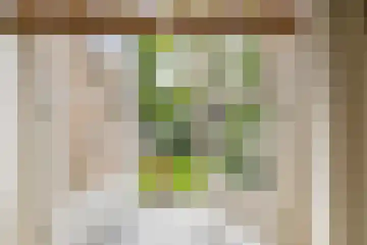 J. van Woensel Kooylaan 9 Naarden thumbnail 21