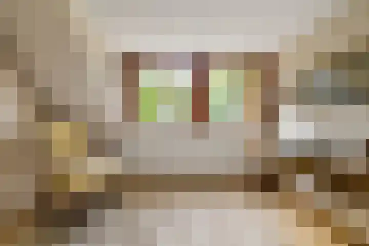 J. van Woensel Kooylaan 9 Naarden thumbnail 23