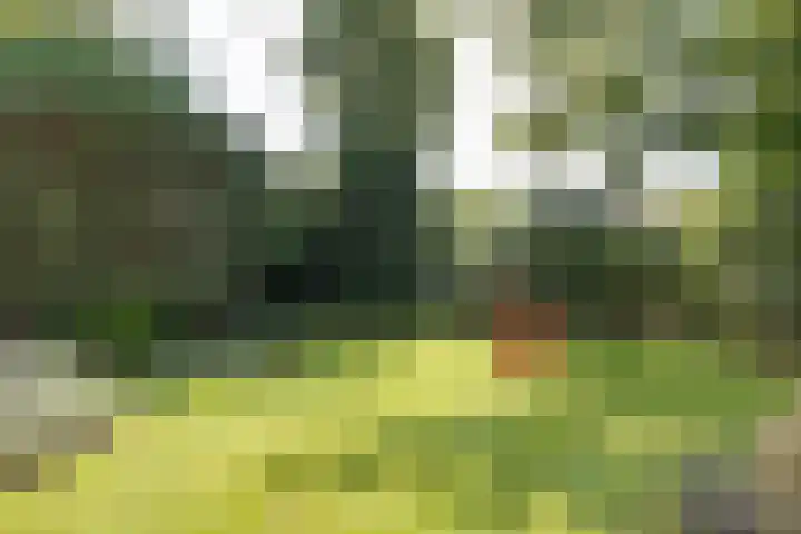 J. van Woensel Kooylaan 9 Naarden thumbnail 38