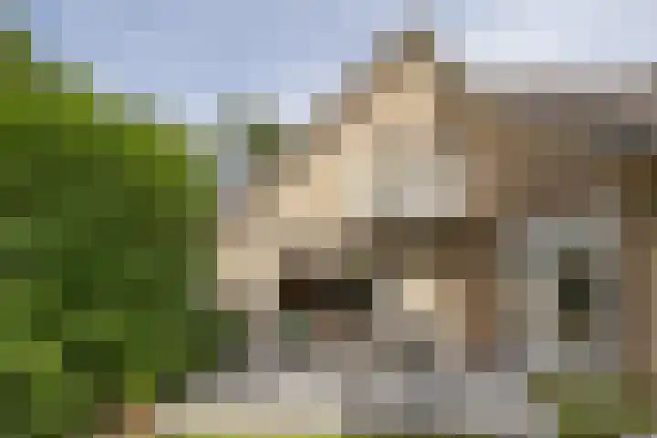 J. van Woensel Kooylaan 9 Naarden thumbnail 41