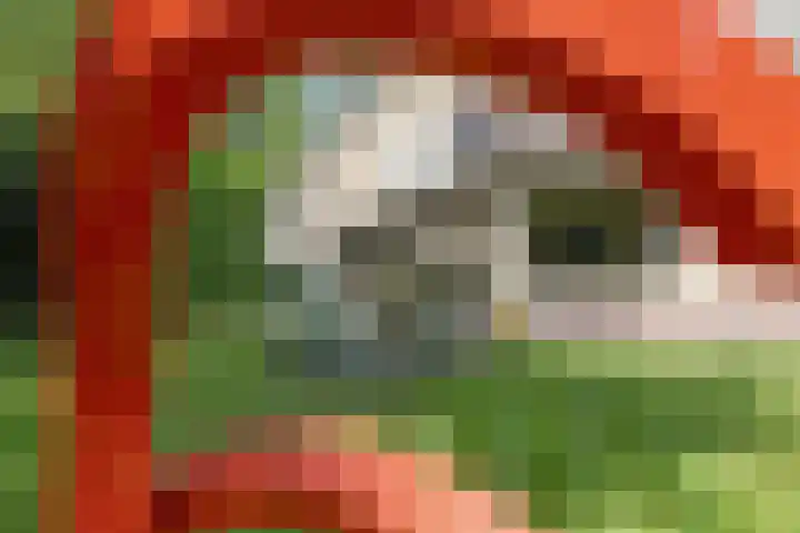 J. van Woensel Kooylaan 9 Naarden thumbnail 43