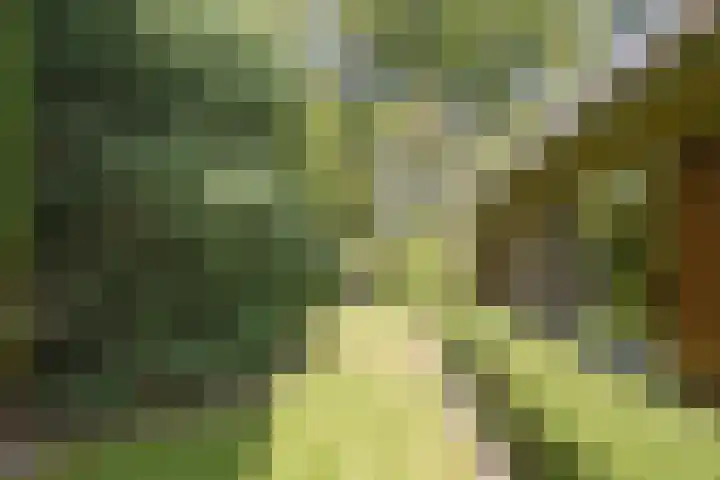 J. van Woensel Kooylaan 9 Naarden thumbnail 45