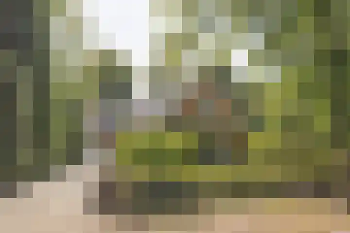J. van Woensel Kooylaan 9 Naarden thumbnail 47