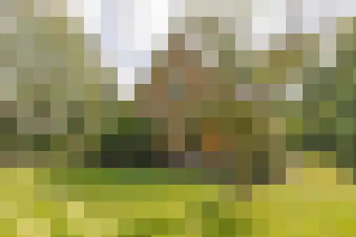 J. van Woensel Kooylaan 9 Naarden thumbnail 5