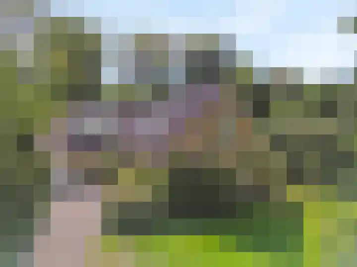 J. van Woensel Kooylaan 9 Naarden thumbnail 51
