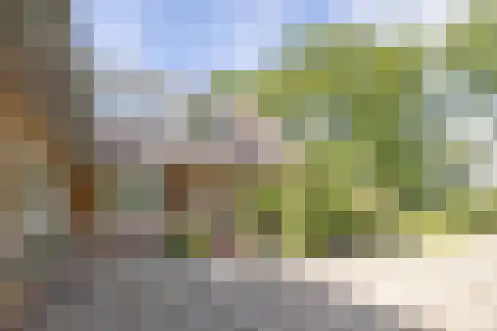 J. van Woensel Kooylaan 9 Naarden thumbnail 6