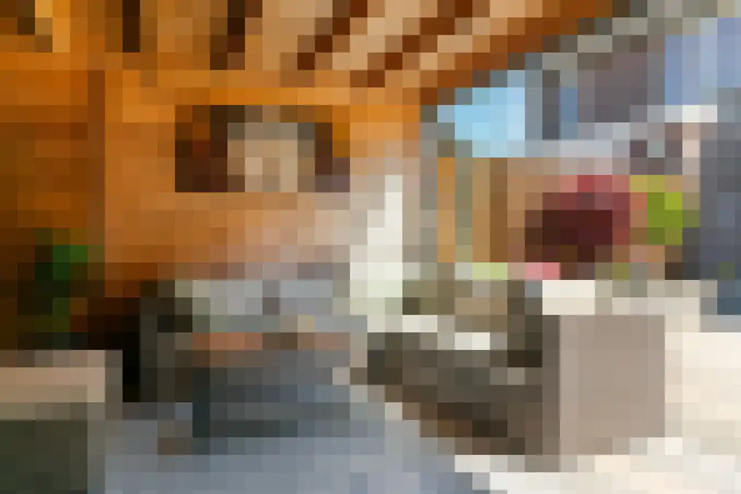 J. van Zantenstraat 18 Beusichem thumbnail 14