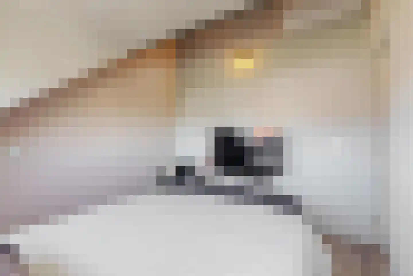 J. van Zantenstraat 18 Beusichem thumbnail 31