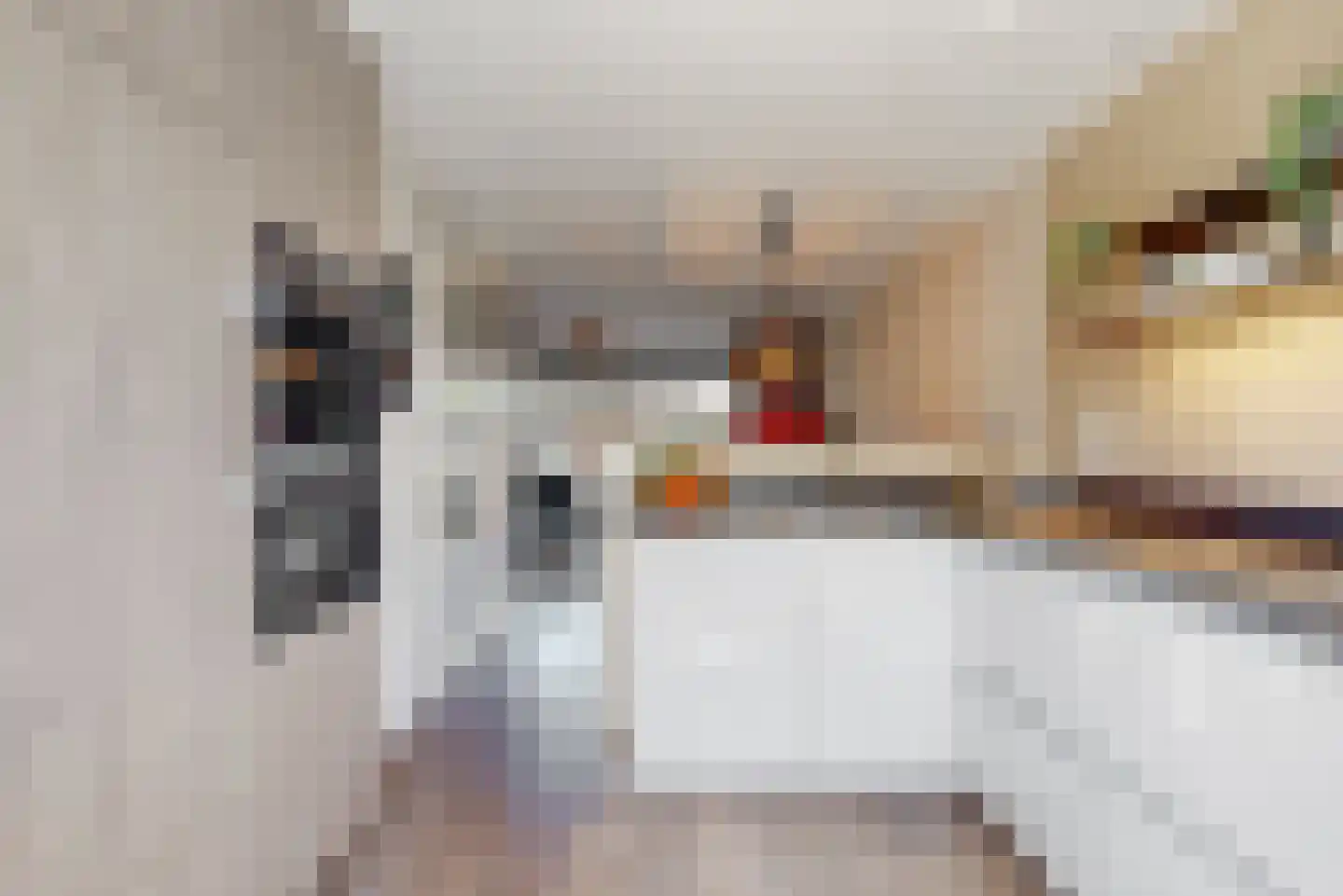 J. van Zantenstraat 18 Beusichem thumbnail 7