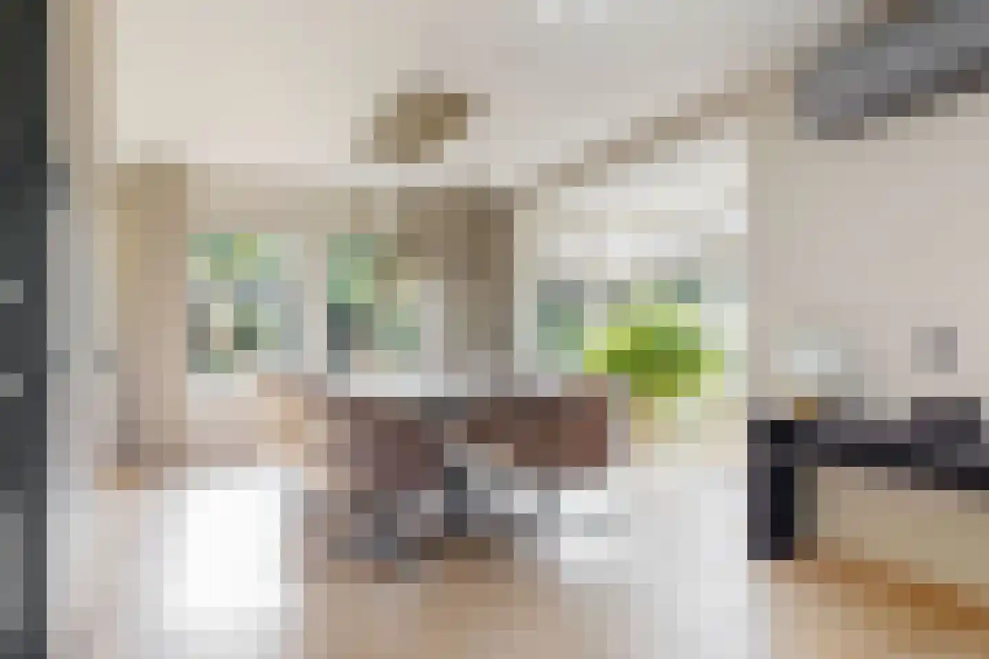 J. van Zantenstraat 7 Tiel thumbnail 14
