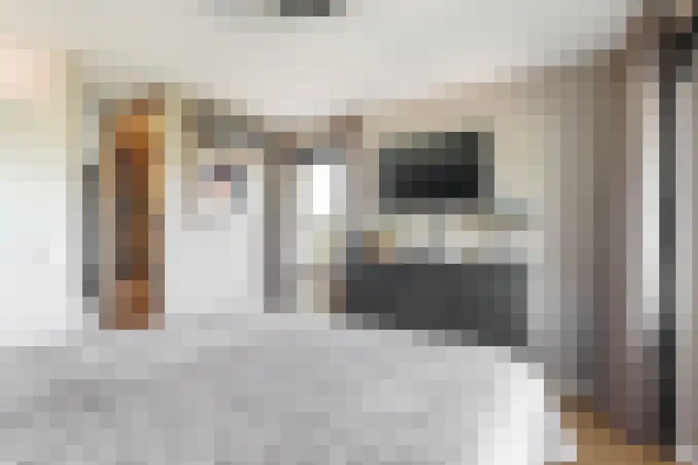 J. van Zantenstraat 7 Tiel thumbnail 26