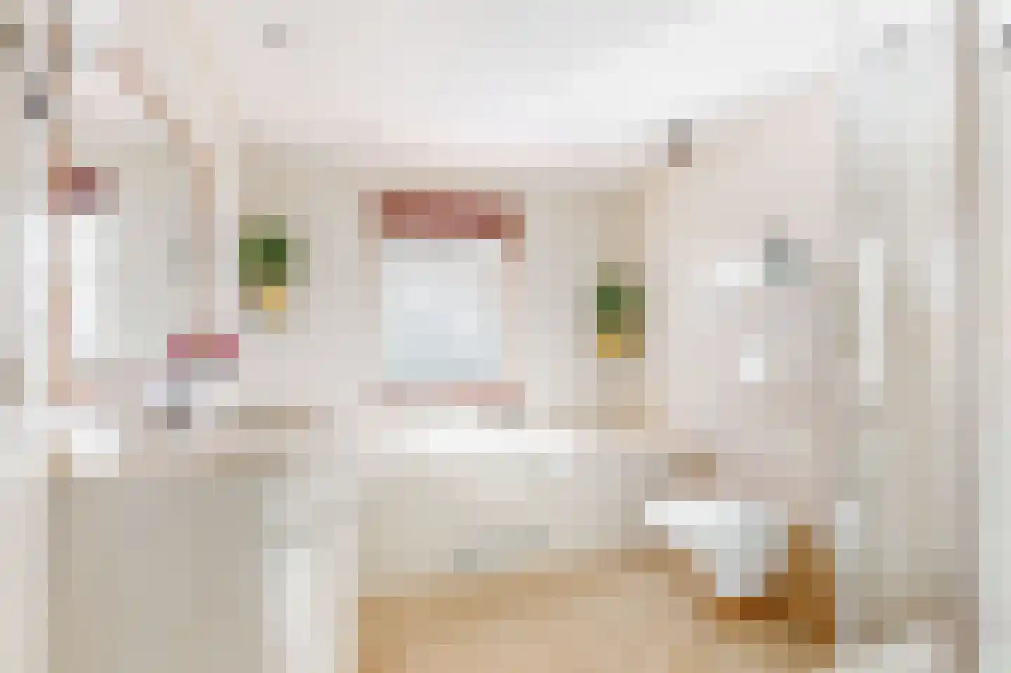 J. van Zantenstraat 7 Tiel thumbnail 32