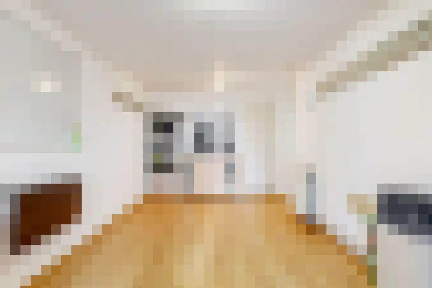 J. van Zantenstraat 7 Tiel thumbnail 40