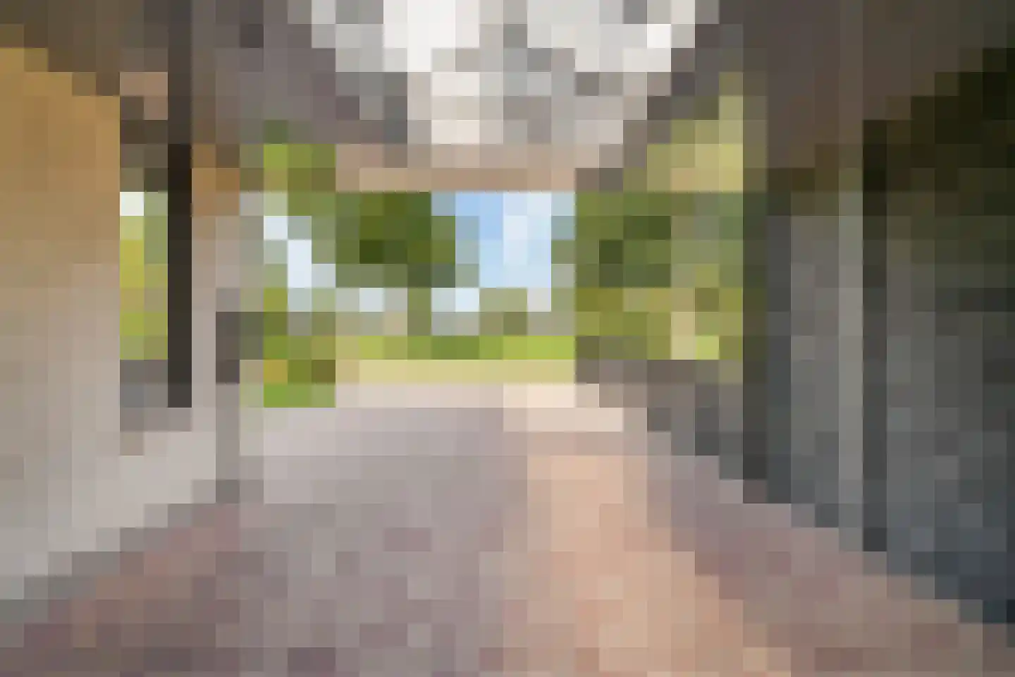 J. van Zantenstraat 7 Tiel thumbnail 58