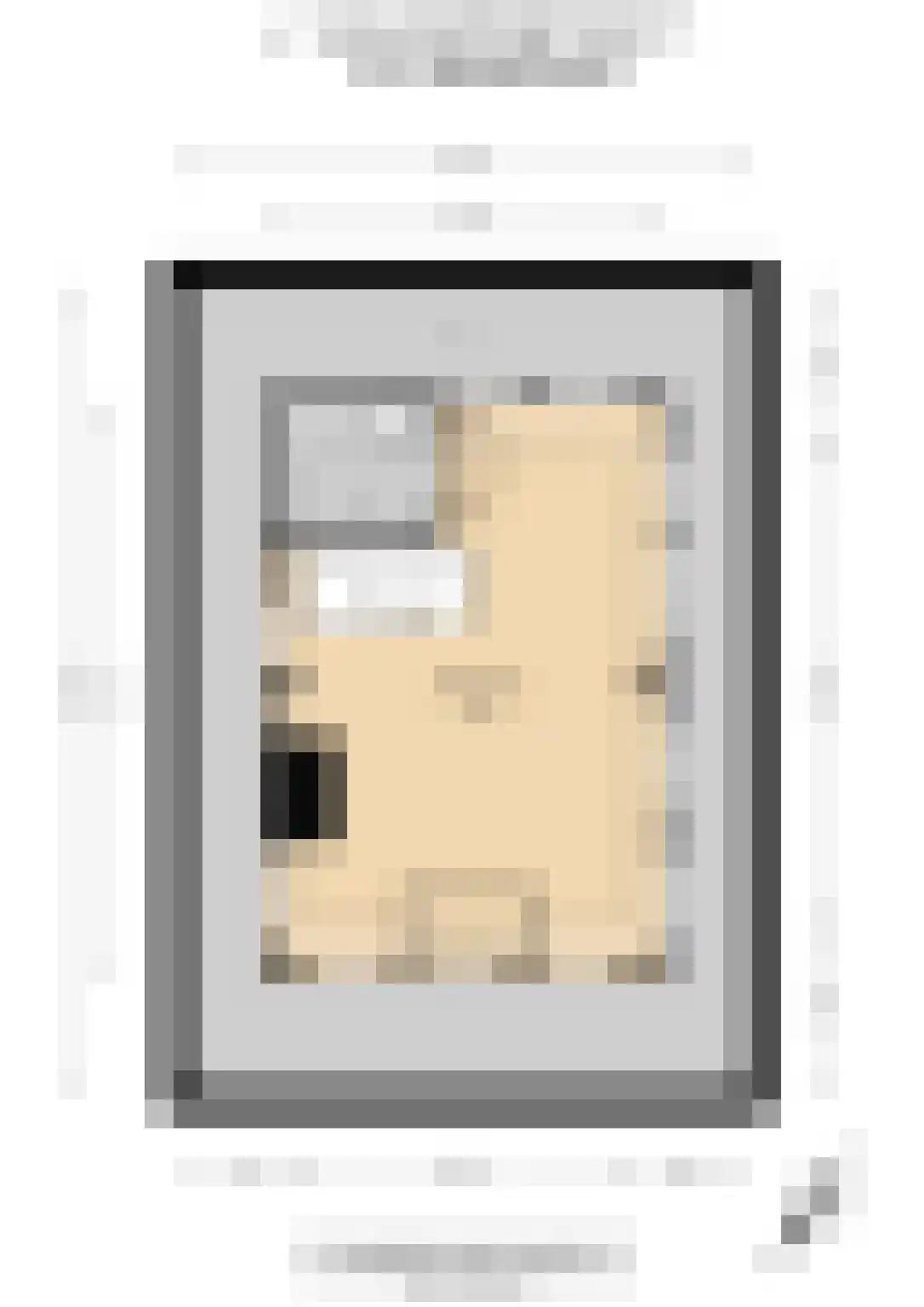 J. van Zantenstraat 7 Tiel thumbnail 69