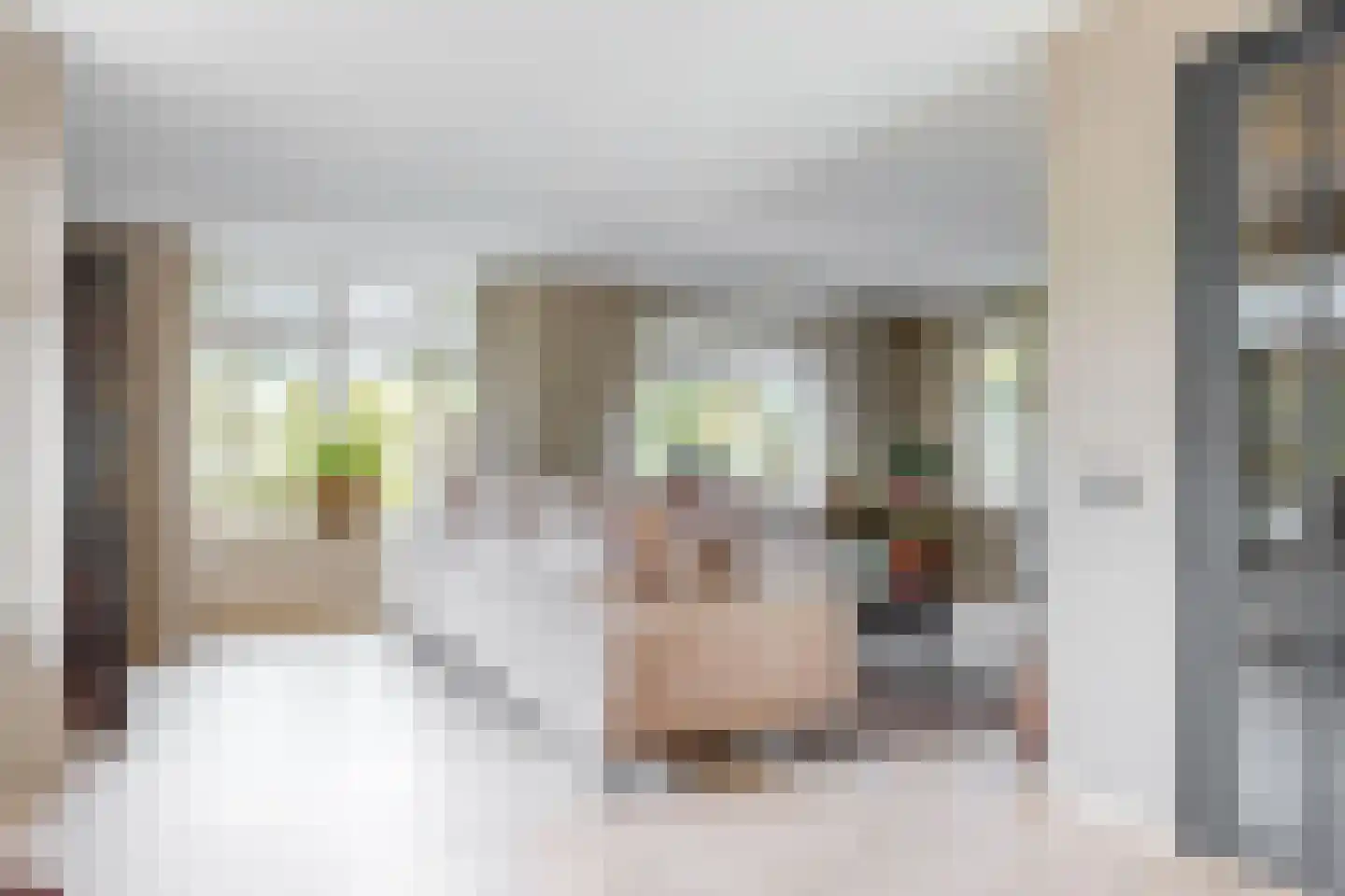 J. van Zantenstraat 7 Tiel thumbnail 9