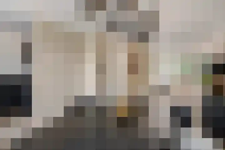 J. van Zantenstraat 70 Meteren thumbnail 12