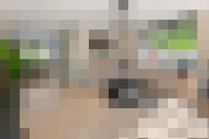 J. van Zantenstraat 70 Meteren thumbnail 7