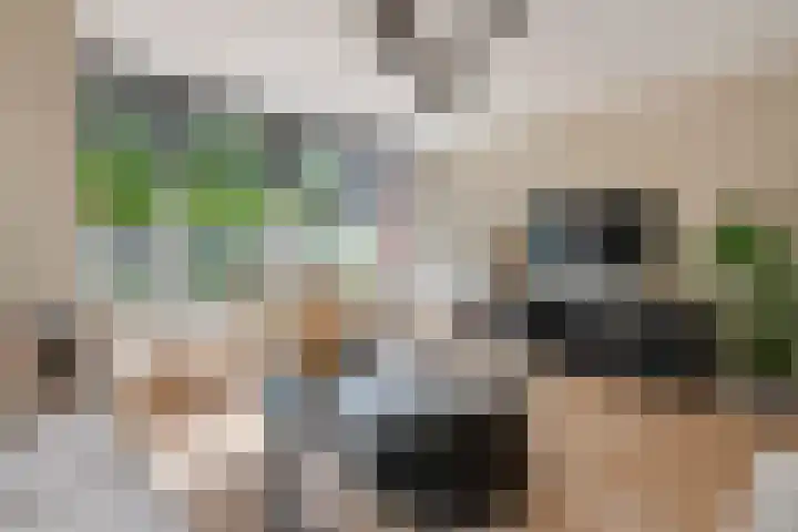 J. van Zantenstraat 70 Meteren thumbnail 8