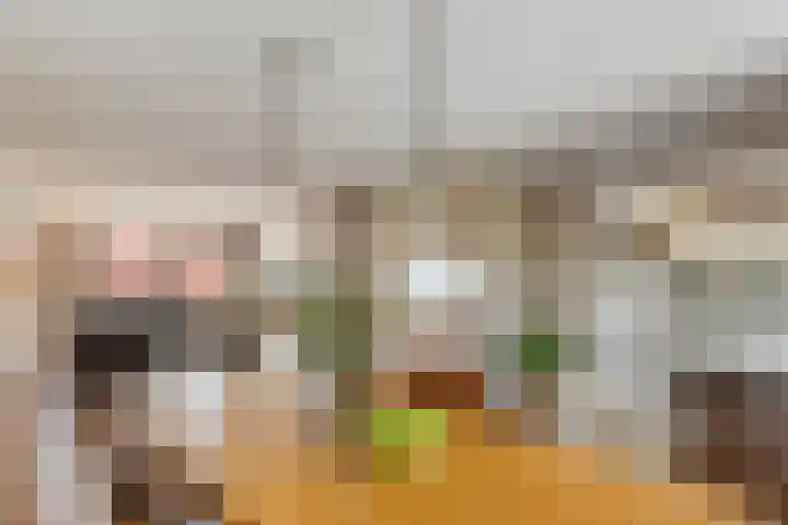 J. van Zantenstraat 84 Meteren thumbnail 22