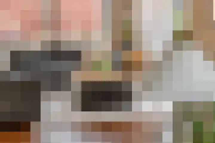 J. van Zantenstraat 84 Meteren thumbnail 32