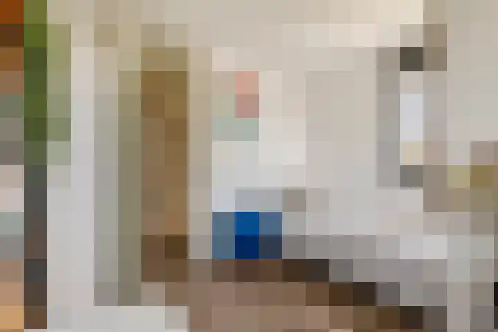 J. van Zantenstraat 84 Meteren thumbnail 38