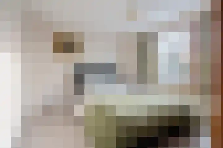 J.van Zutphenstraat 8 Bad Nieuweschans thumbnail 23