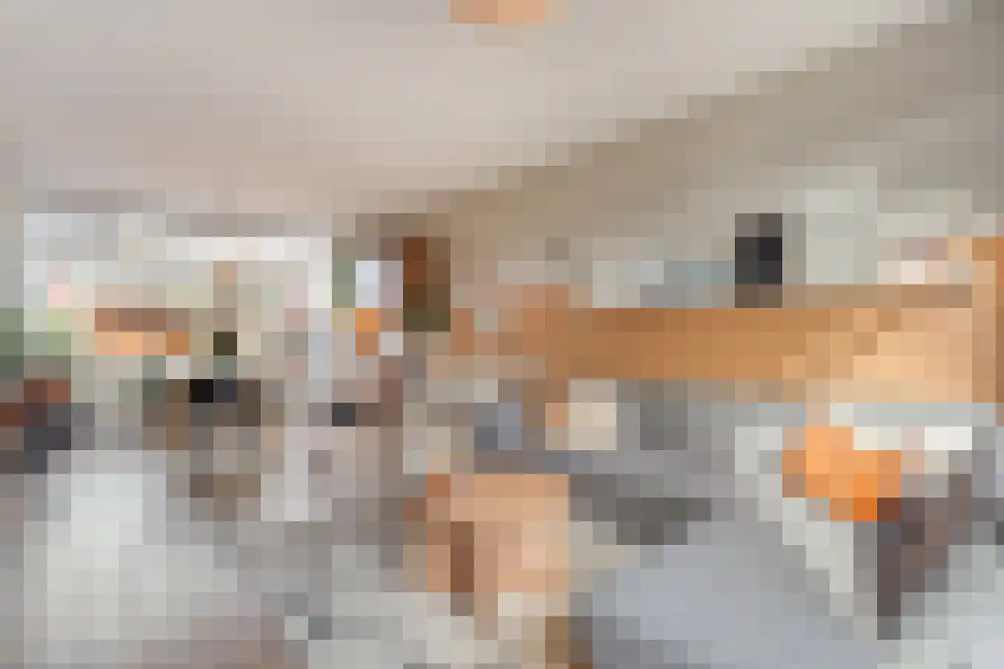 J. Vermeerstraat 5 Hardenberg thumbnail 10