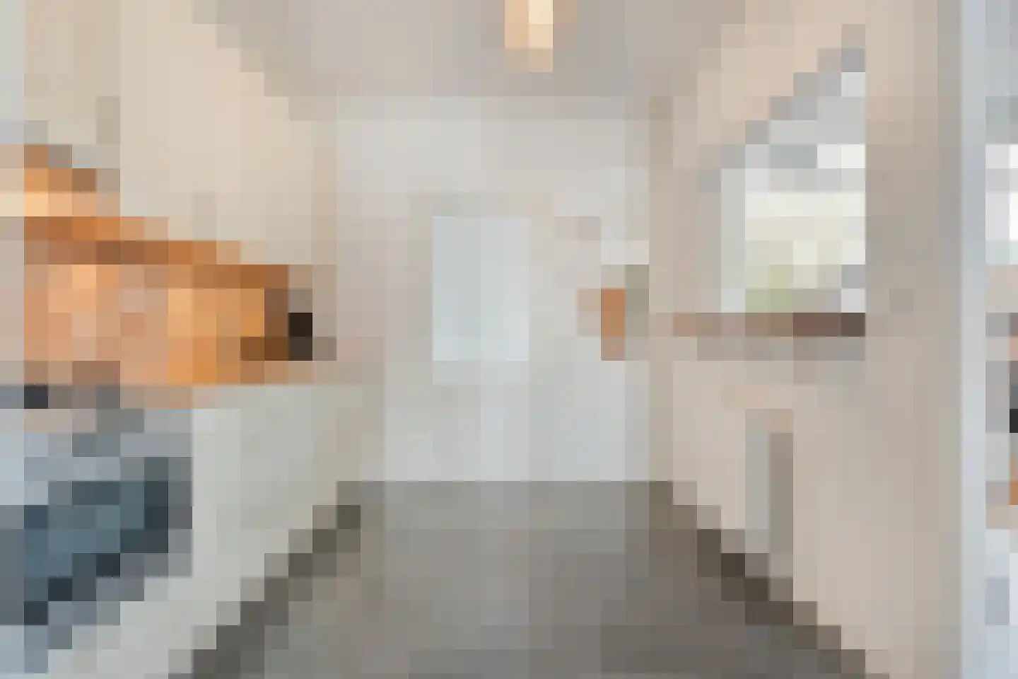 J. Vermeerstraat 5 Hardenberg thumbnail 16