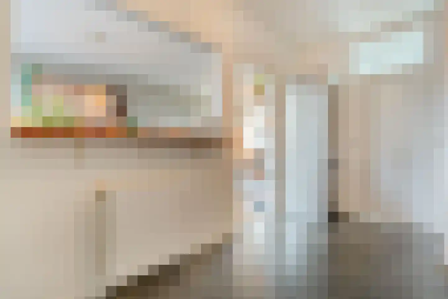 J. Vermeerstraat 5 Hardenberg thumbnail 19