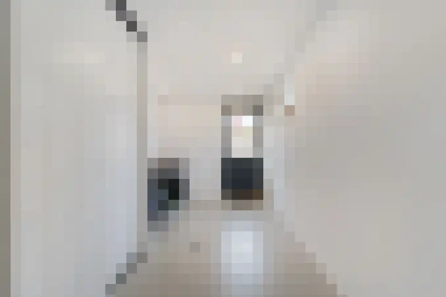 J. Vermeerstraat 5 Hardenberg thumbnail 22