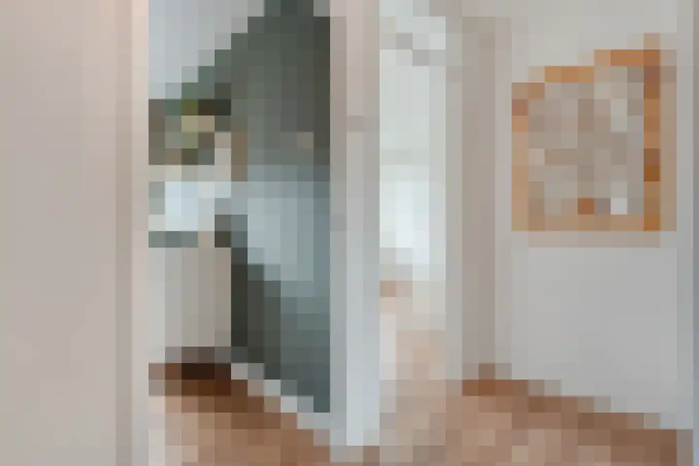 J. Vermeerstraat 5 Hardenberg thumbnail 27
