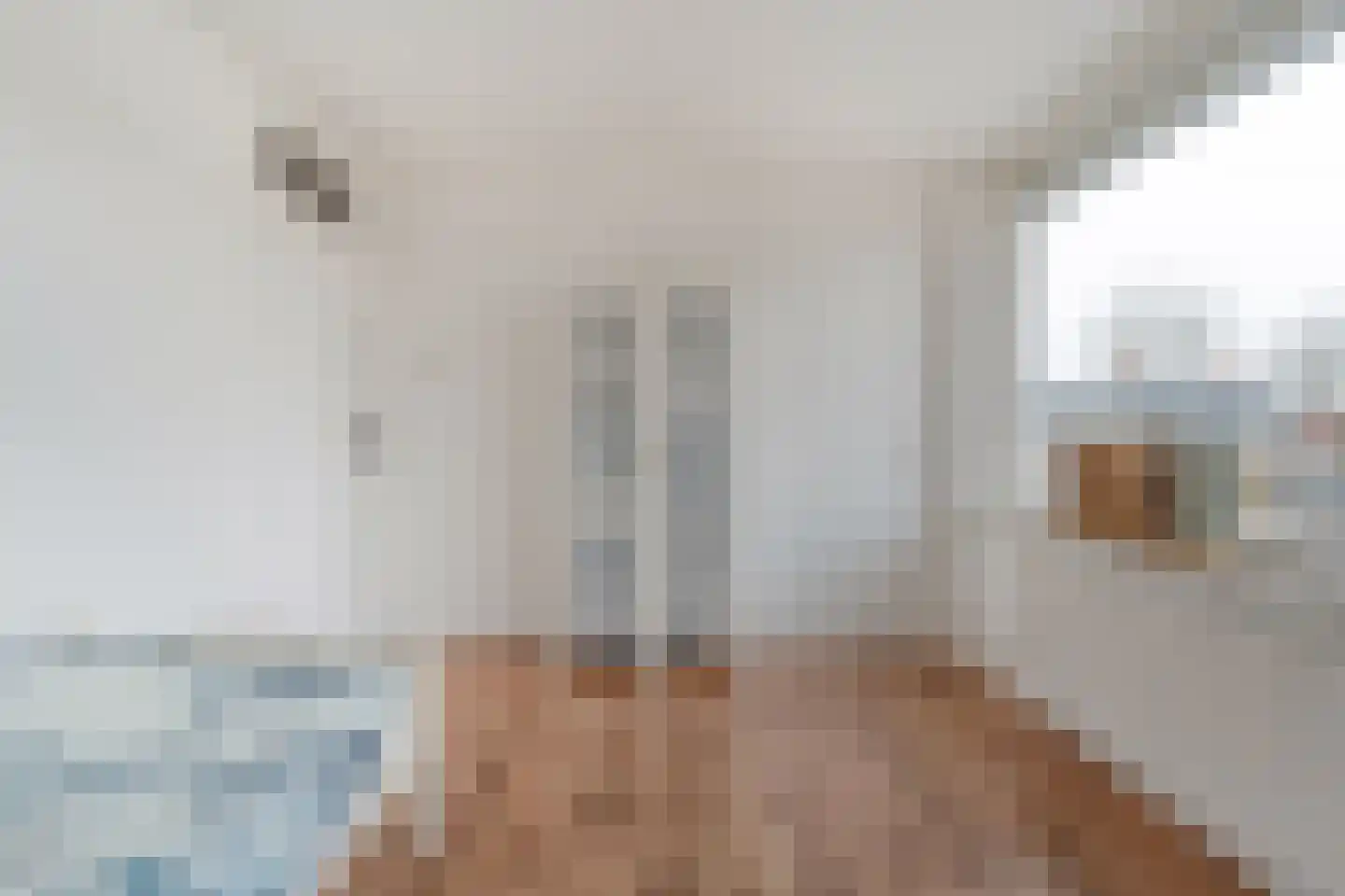 J. Vermeerstraat 5 Hardenberg thumbnail 31