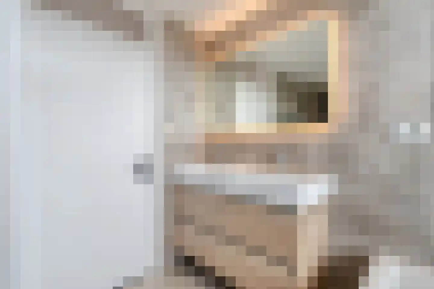 J. Vermeerstraat 5 Hardenberg thumbnail 36